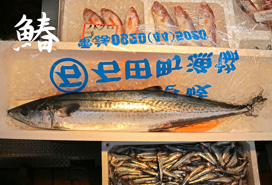 店舗情報 - 岡ビル市場|岡山の台所|岡山市北区野田屋町の小売市場